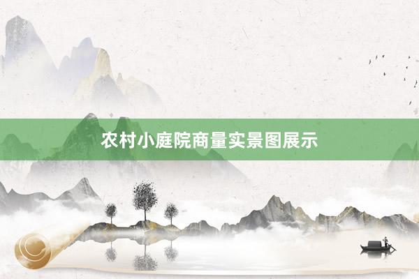 农村小庭院商量实景图展示