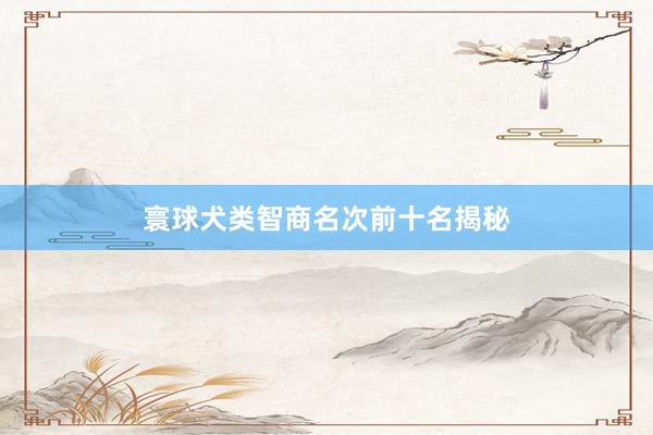 寰球犬类智商名次前十名揭秘